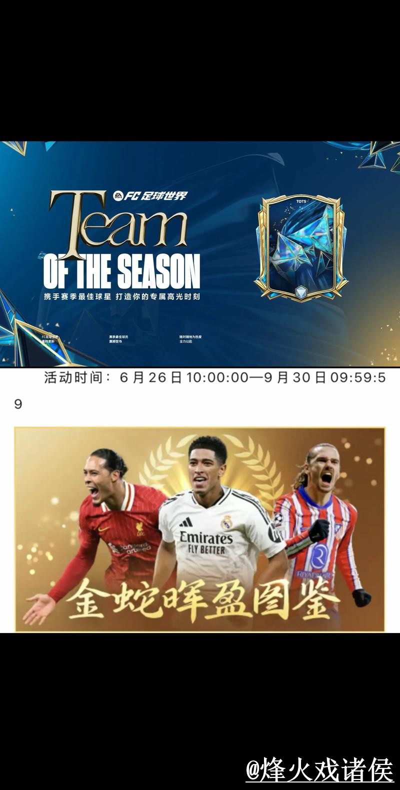 深入解析世界杯投注稳定热门赛队趋势